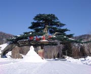 西安明天天气