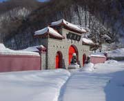 新洲明天天气