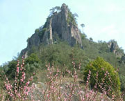 莲都明天天气